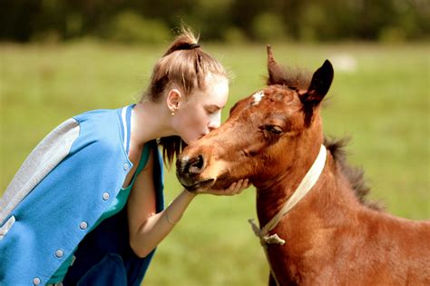 sex femme chevale|Compilation de chiennes qui aiment baiser à cheval .